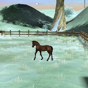 Meet your Posher, Carly